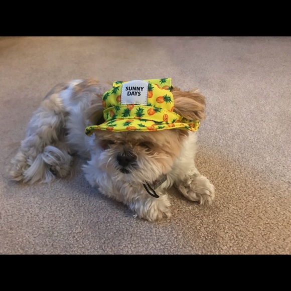 Meet your Posher, Brian - Picture 1 of 1